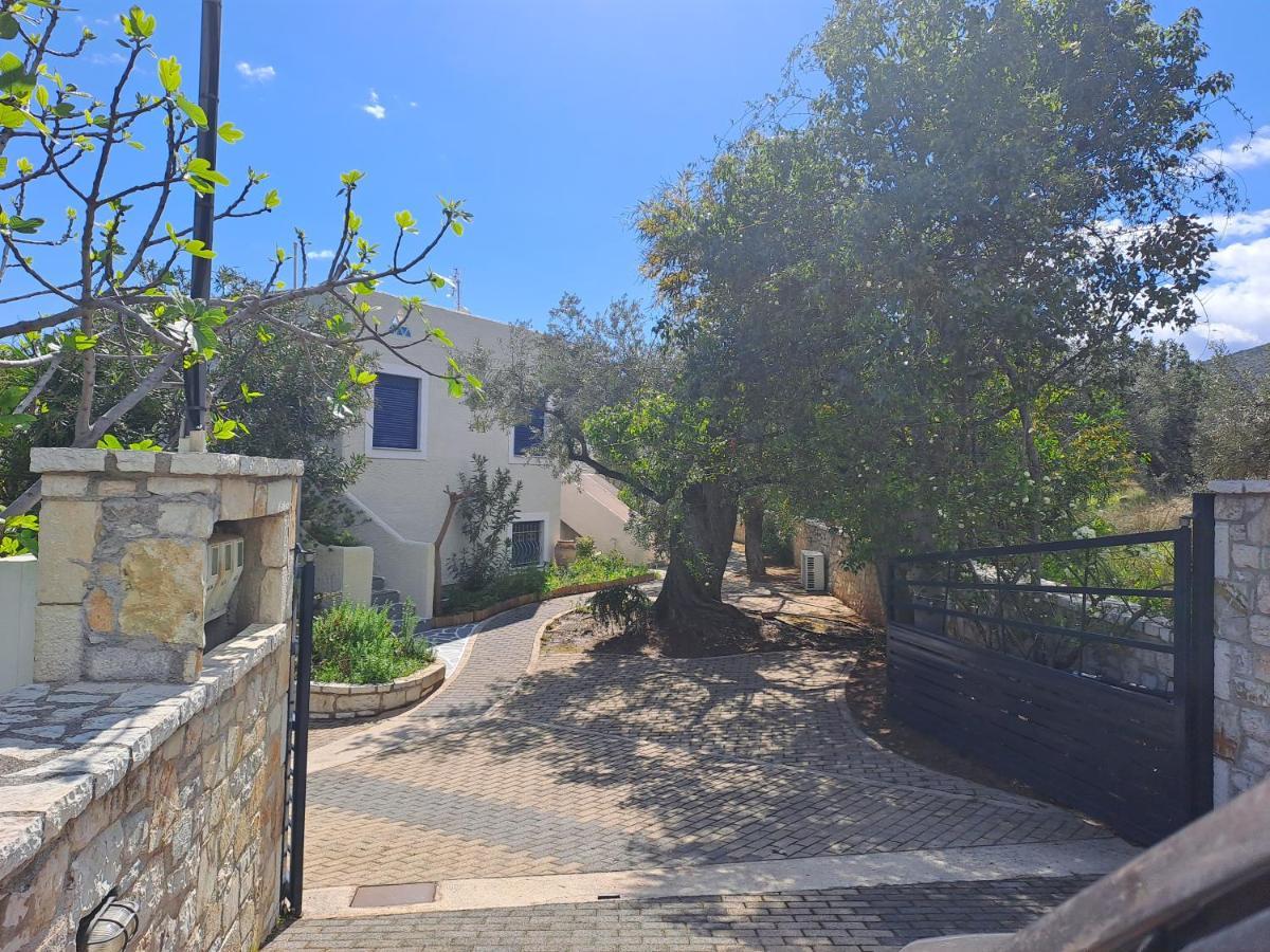Nama House Villa