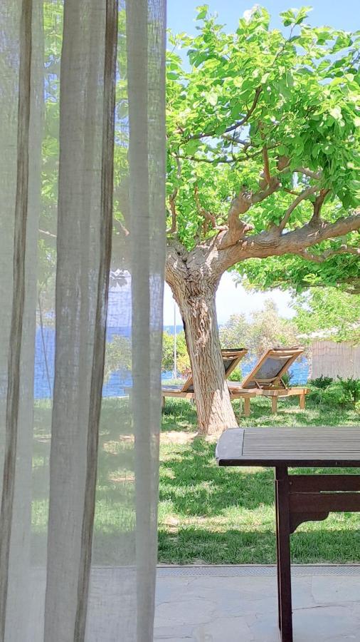 Nama House * Arkadiko Chorio